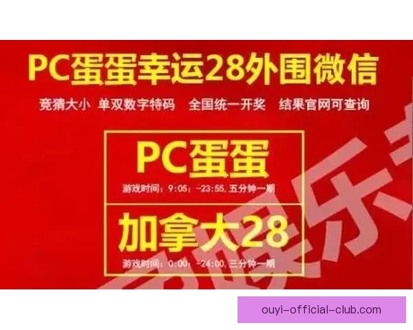 掌握世界杯竞猜比赛技巧提升胜率的实战方法与投注技巧深度指南